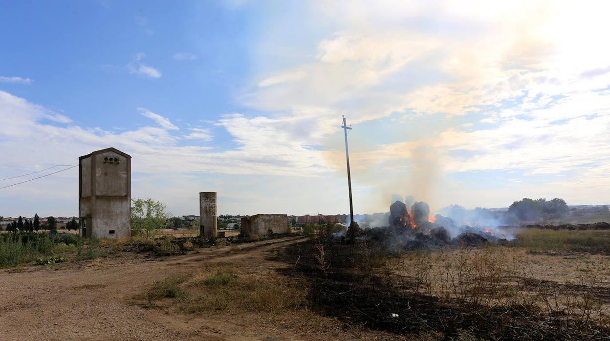 Incendio junto a la carretera de Renedo (Valladolid), entre la Ronda Este y la VA-30