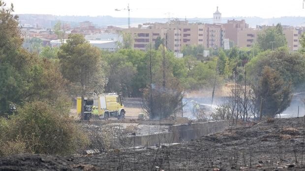 Una colilla mal apagada, causa del incendio forestal que alcanzó el nivel 2 en Renedo de Esgueva (Valladolid)