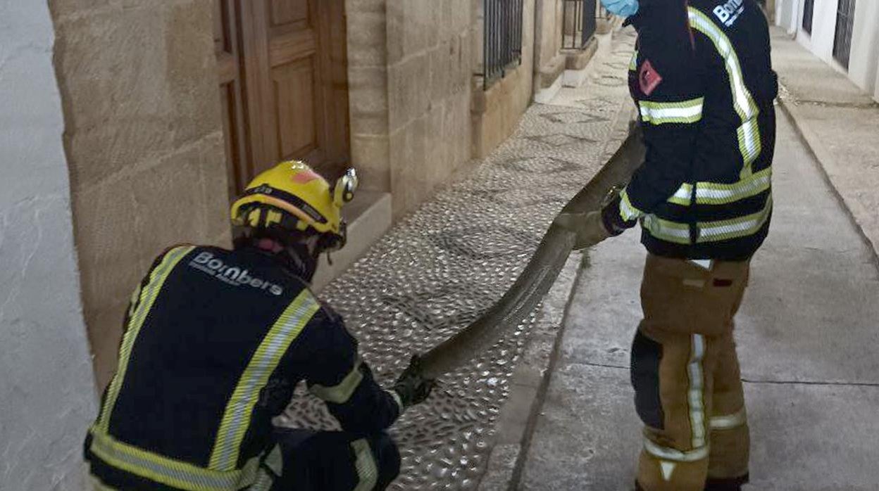 Dos bomberos retiran la serpiente en la calle de Benissa