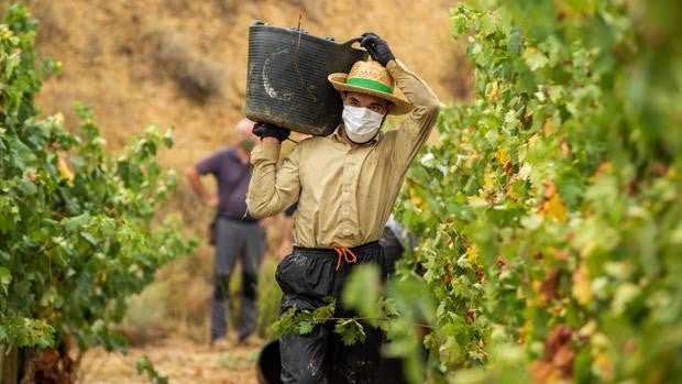 Desmantelada en Gerona una red de regularización de extranjeros que usaba falsos contratos en el campo