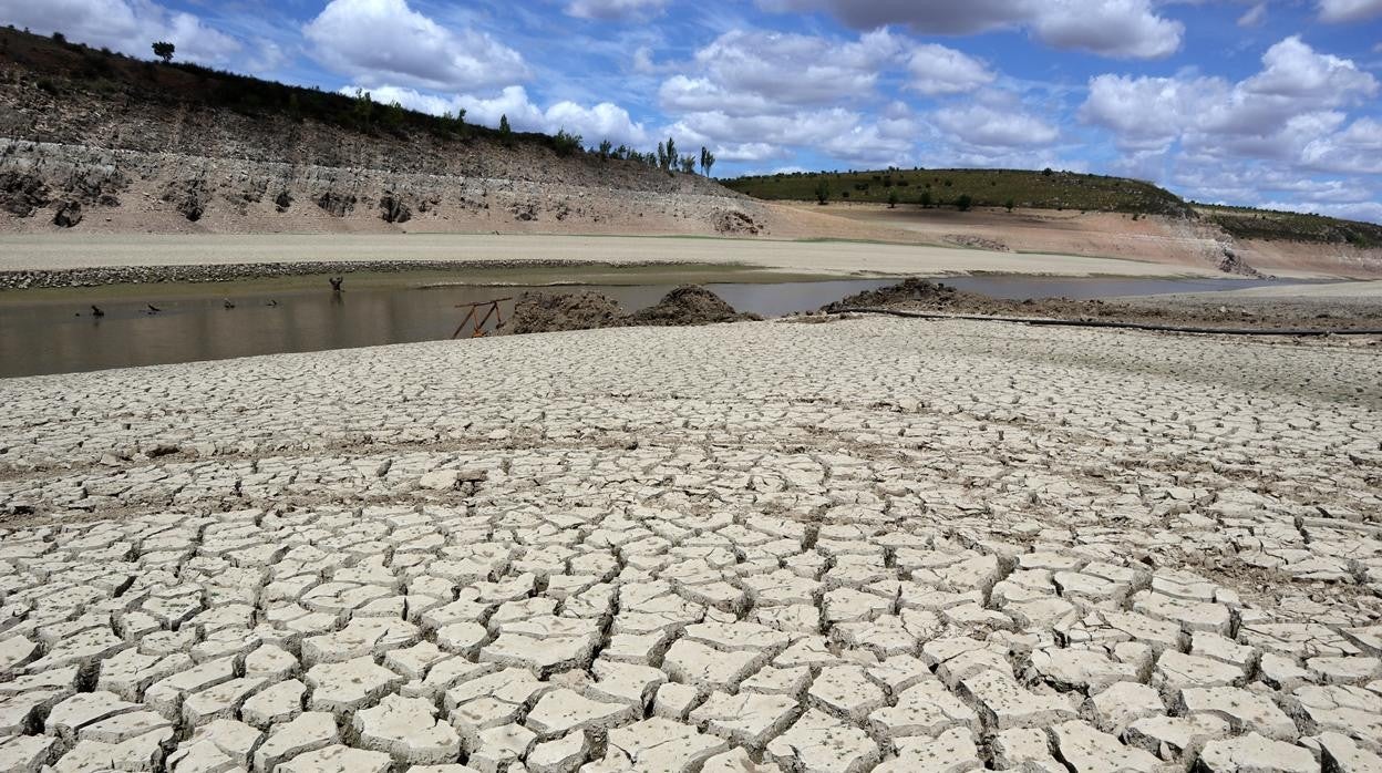 Estado actual del embalse de Ricobayo, al 11 por ciento de su capacidad