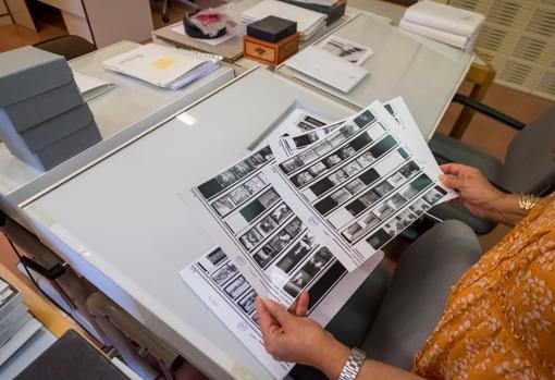 Hoja de contactos de fotografías de Carvajal