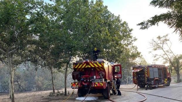 El fuego devora la entrada arbolada de Batres, orgullo local