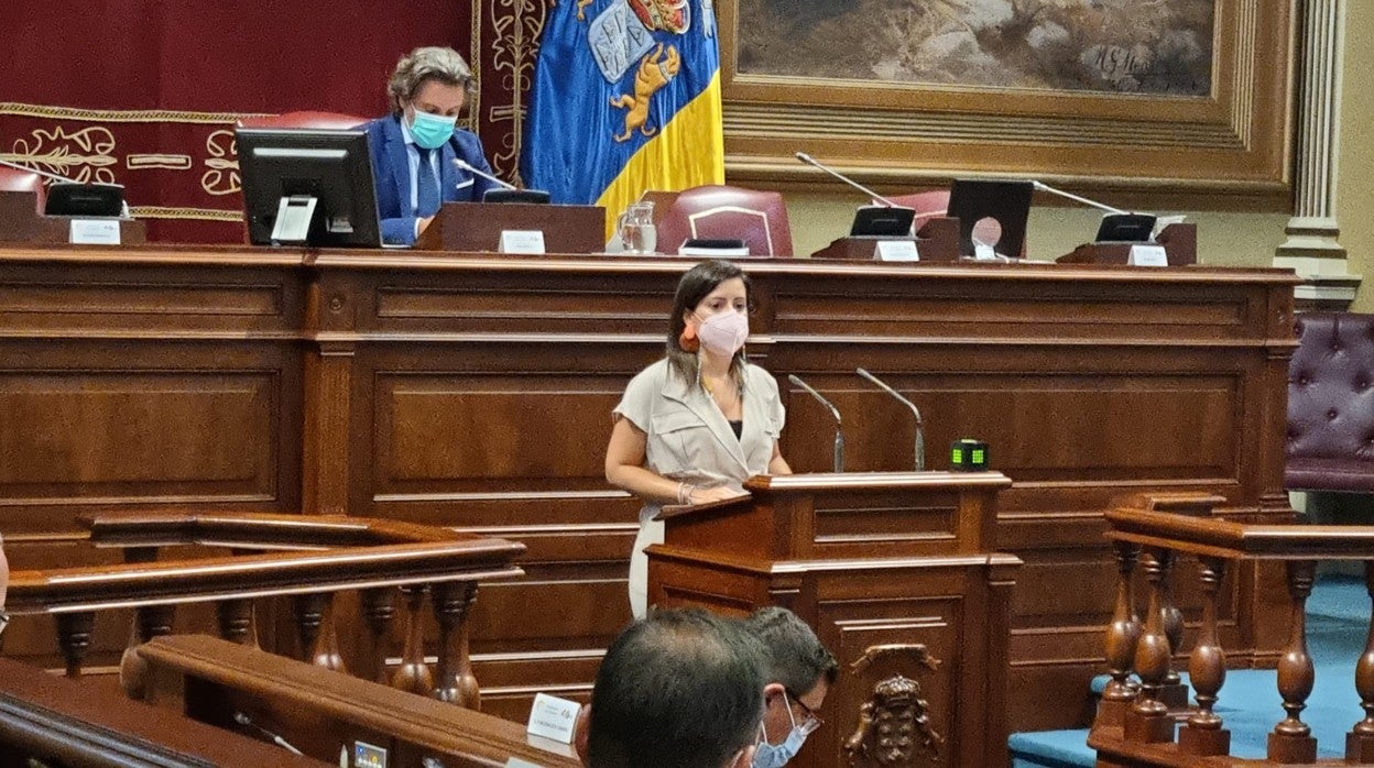 Intervención ce Ysiza Castilla en el Parlamento de Canarias