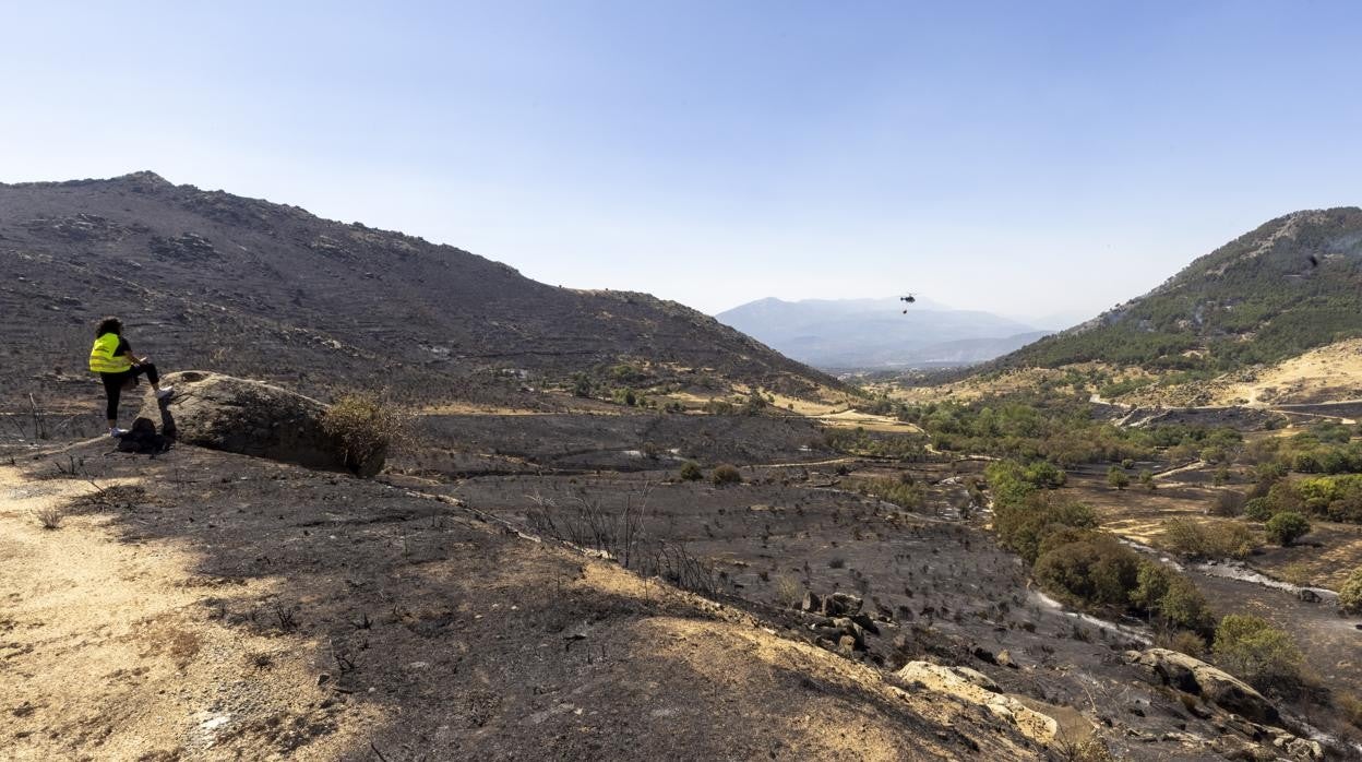 El incendio de Navalacruz, a su paso por Navalmoral