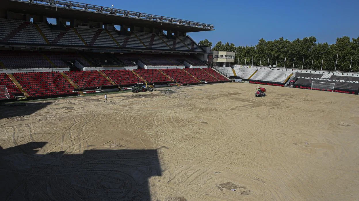 Trabajos de replantación del césped del Estadio Vallecano