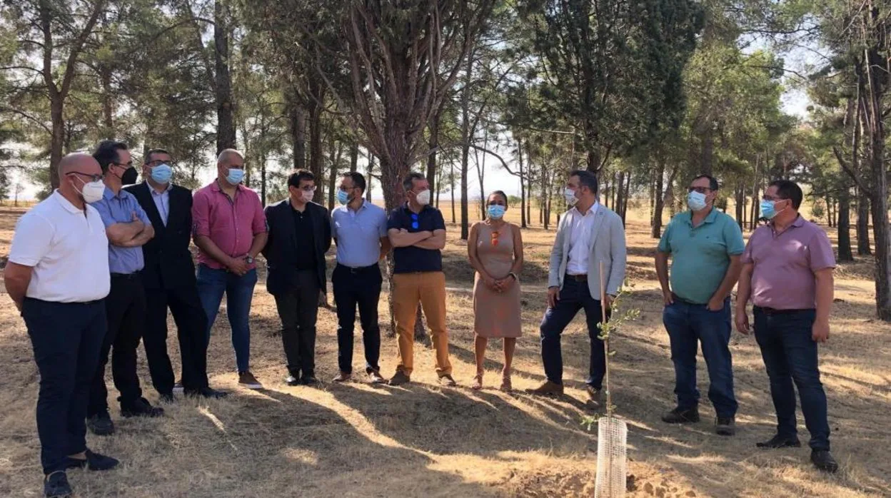 Fernando Marchán con alcaldes de los municipios afectados en un pinar de Yuncler