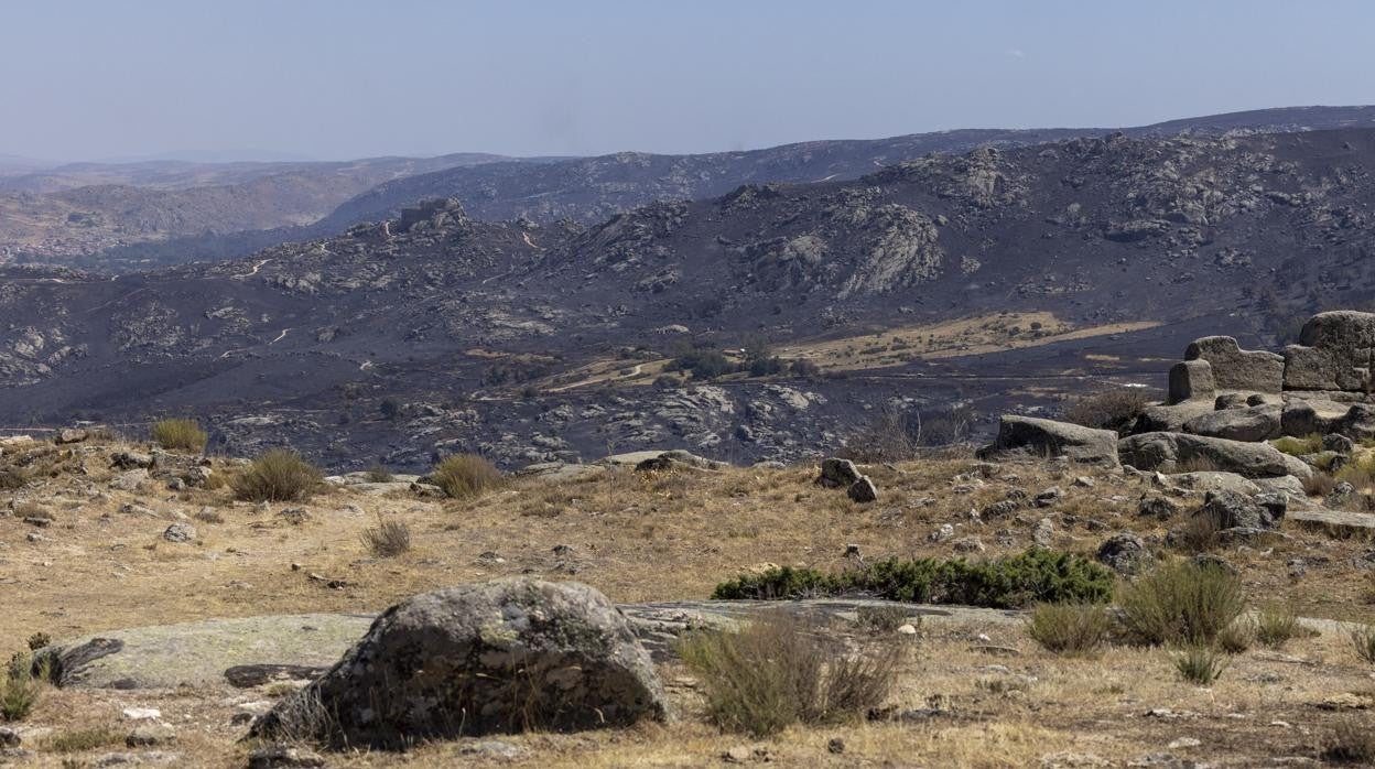 Consecuencias del incendio iniciado en Navalacruz, a su paso por Río Frío