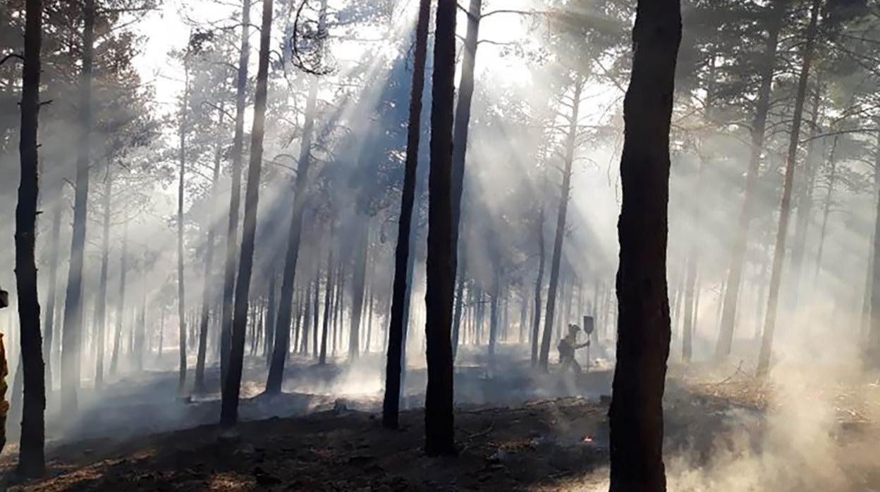 Incendio en Cueva de Ágreda (Soria)