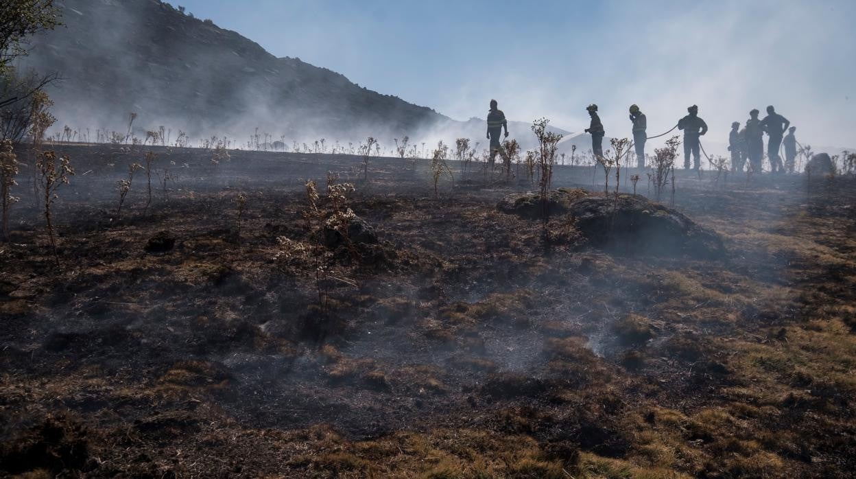 Operativo de extinción trabajando en la zona afectada por el incendio de Navalacruz hace unos días