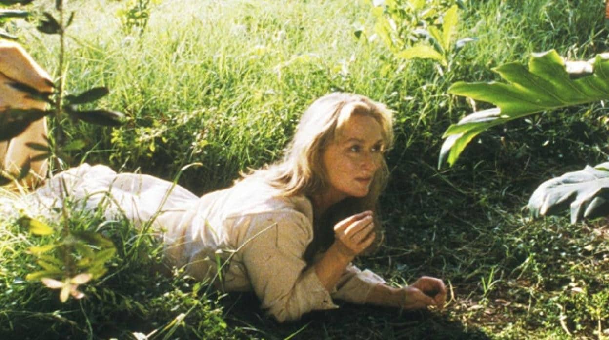 Meryl Streep en 'El ladrón de orquídeas'