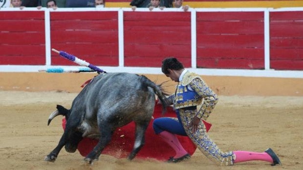 Nacho Torrejón, cuatro orejas, continúa su idilio taurino con Añover de Tajo