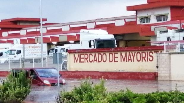 Toledo registra 133 incidencias en diez horas por la intensa lluvia