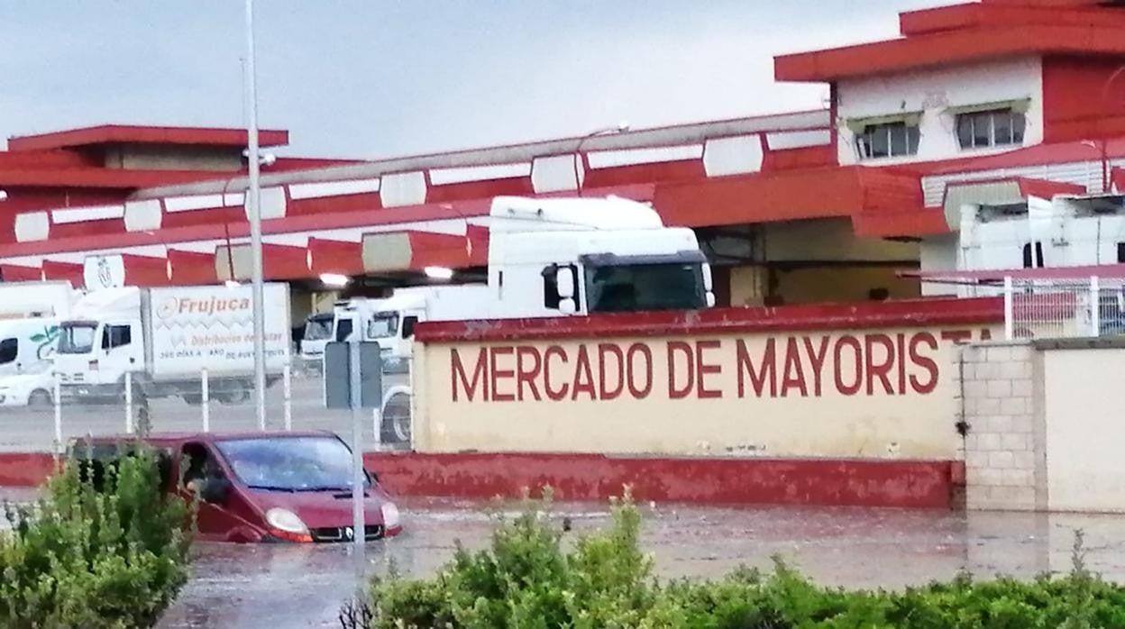 Imagen de este miércoles a las 8.00 horas en el Mercado de Mayoristas, en Toledo