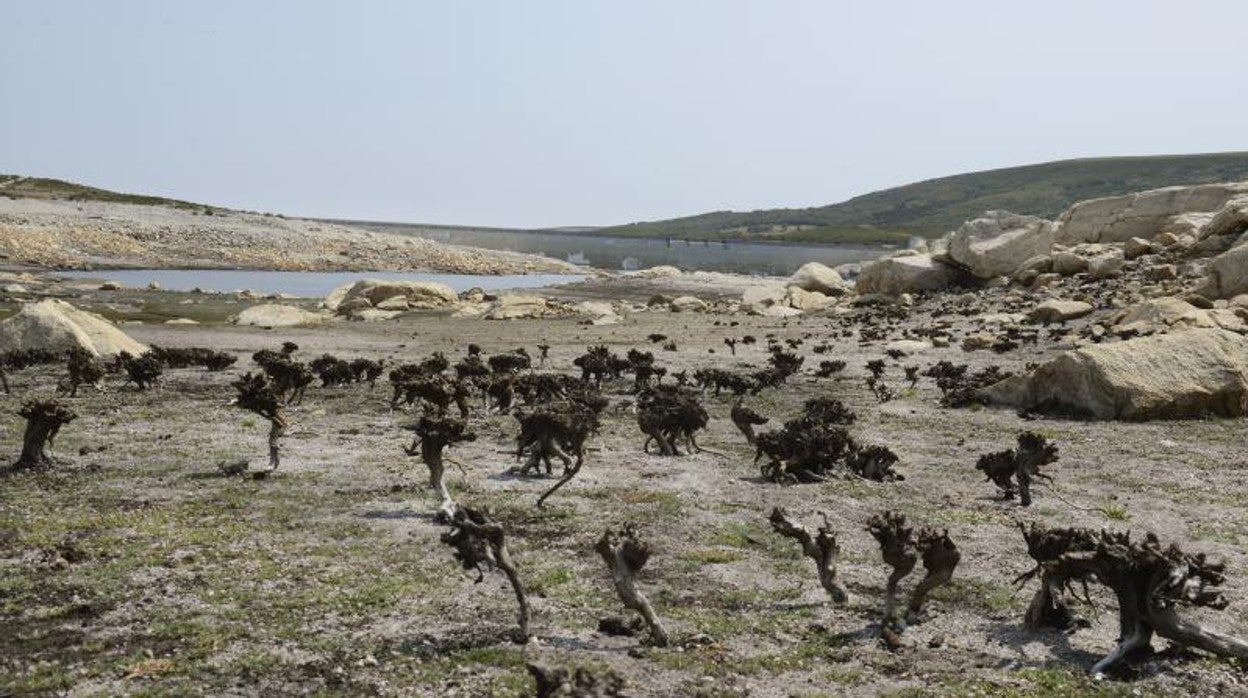 El embalse de Cenza, el pasado 24 de agosto