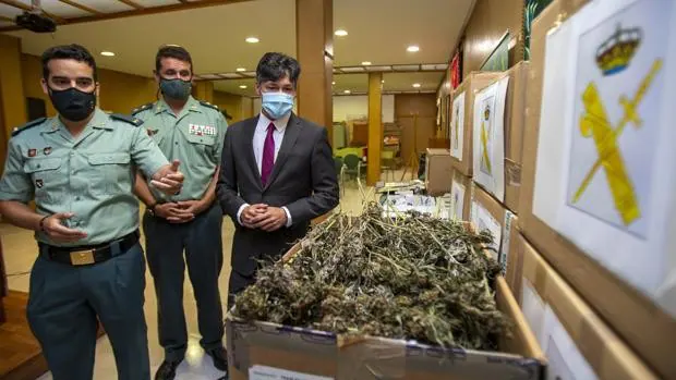 La Guardia Civil destapa un laboratorio de marihuana 'indoor' en el sótano de un chalet okupado en La Adrada