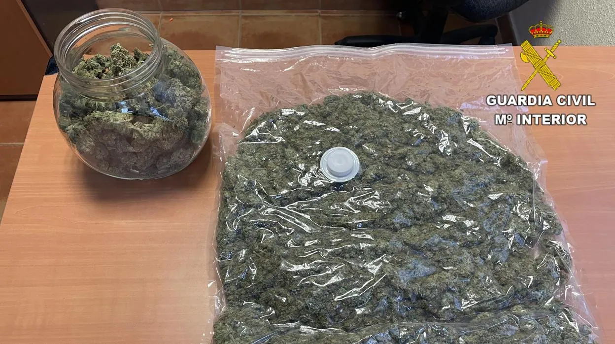 Cogollos de marihuana envasados al vacío intervenidos en Bargas