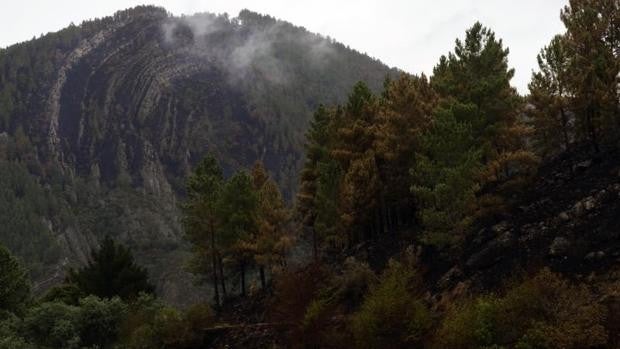 Extinguido el incendio de Nogueira tras casi una semana y 140 hectáreas calcinadas