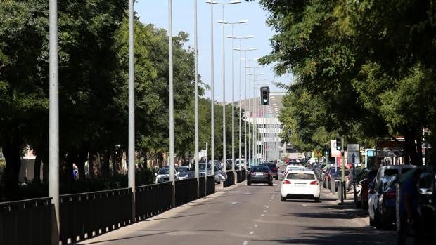 Los planes para Palomarejos sin el hospital