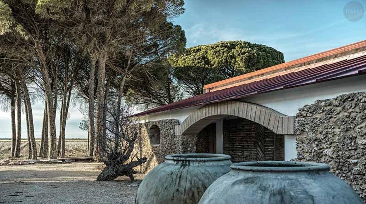 Finca Tinedo, enoturismo en una de las bodegas más antiguas de Castilla-La Mancha