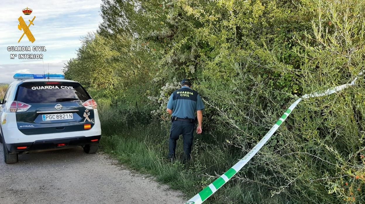 Localizado en Herrera de Pisuerga, junto al Canal de Castilla, el cadáver del vecino desaparecido el sábado