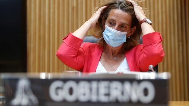 COAG pide a las Cortes que declaren persona 'Non Grata' a Teresa Ribera por su política del lobo