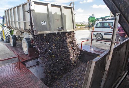 Un vino de Albacete, elegido entre los mejores del mundo