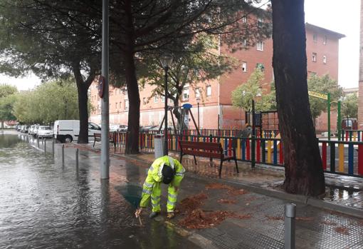 Un operario municipal desobstruyendo imbornales este viernes