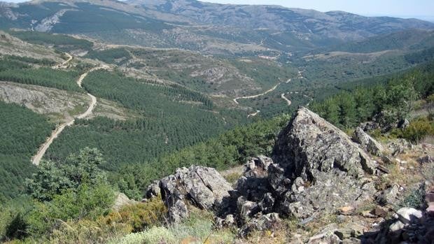 La Reserva de la Biosfera de la Sierra del Rincón se amplía al sumar las 861 hectáreas de Madarcos