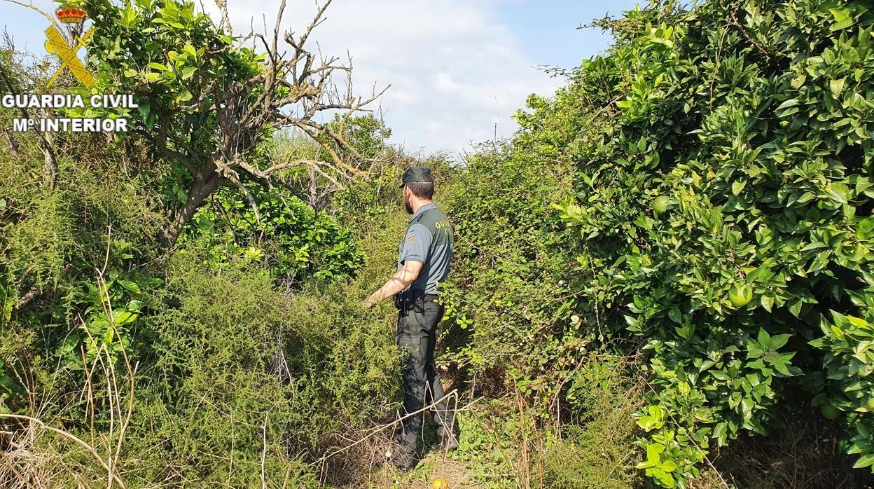 Imagen en la que aparece un agente de la Guardia Civil durante la búsqueda en la localidad valenciana de Godelleta