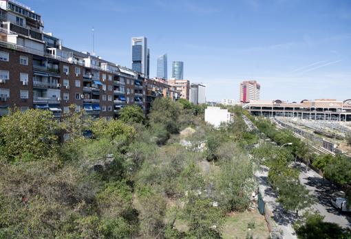 Vista panorámica de la zona, con los solares usurpados debajo de los árboles