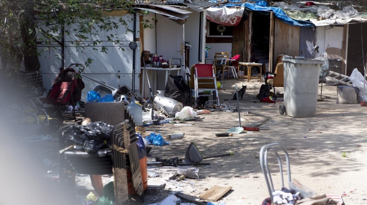 Interior de una de las parcelas okupadas