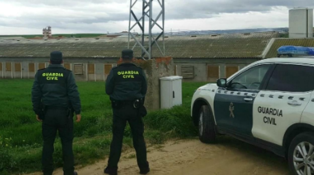 Asaja reclama «más control» para terminar con el fraude y los robos en el campo de Castilla-La Mancha