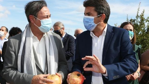 Carlos Mazón destaca la producción de 50 millones de kilos de la Granada Mollar de Elche