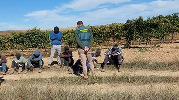 La Guardia Civil libera a 14 víctimas de trata captadas para la vendimia en Burgos