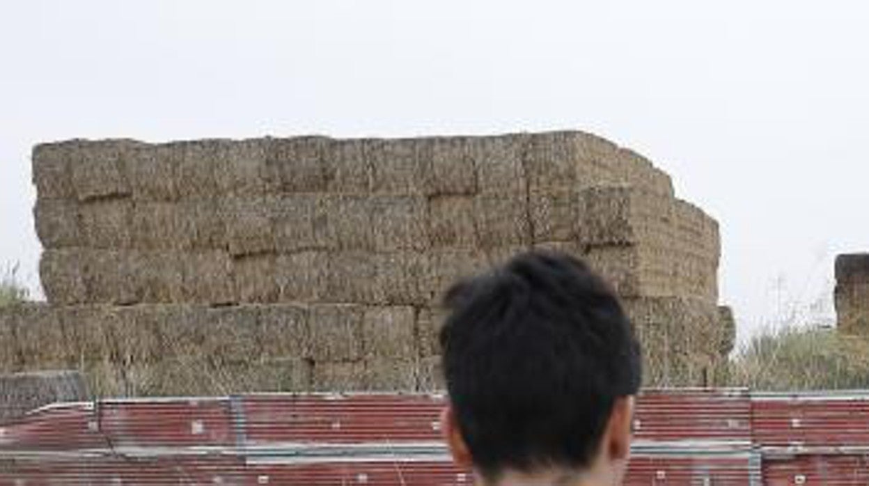 Jóvenes en una escuela taurina