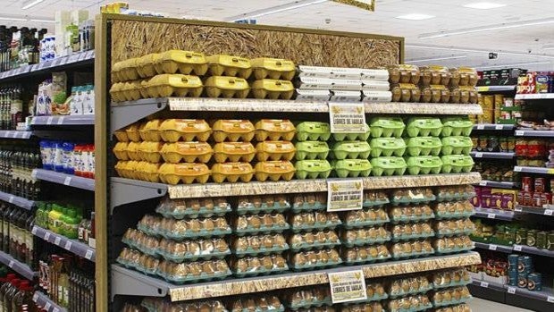 Los supermercados Masymas ya solo venden huevos de gallinas libres de jaula