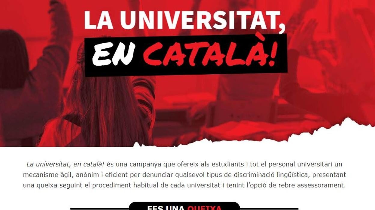 Imagen de la campaña 'La universitat, en català! de la Plataforma per la Llengua