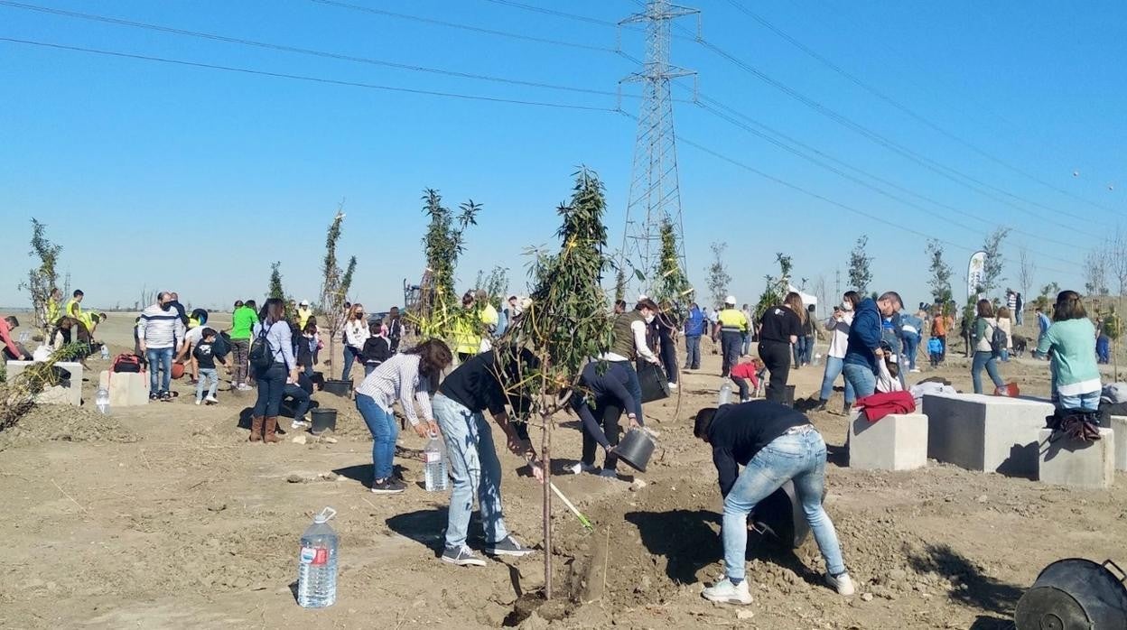 Plantación de nuevas especies en el Bosque Albia