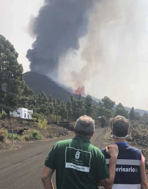 El equipo de rescate de animales en las inmediaciones del volcán