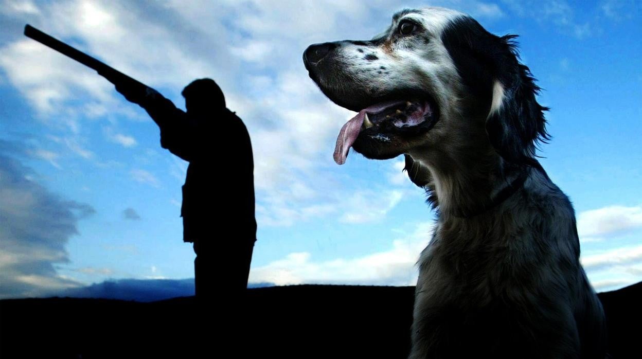 Investigan si la muerte de un hombre en Aldearrodrigo (Salamanca) fue por causas naturales o le atacaron perros de caza