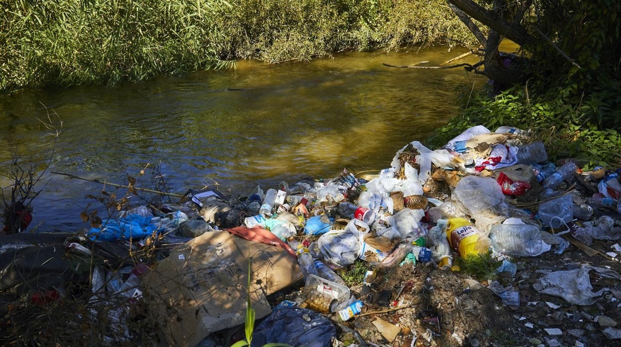 Basura acumulada junto al cauce del río Guadarrama