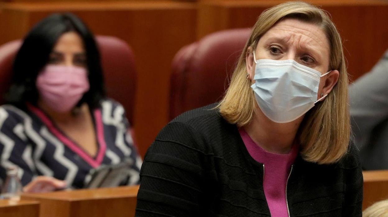 Isabel Blanco durante una intervención en el pleno.