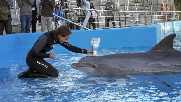 La Fundación Oceanogràfic celebra su quinto aniversario con cien proyectos desarrollados