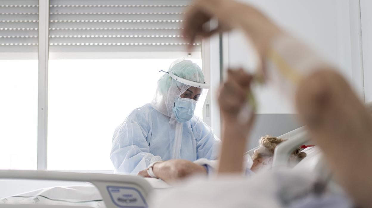 Imagen de una sanitaria junto a una paciente que padece coronavirus en Valencia