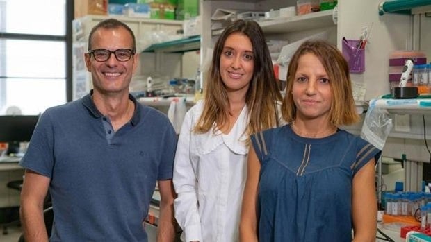 El consumo desmedido de aciete de palma acelera el riesgo de metástasis