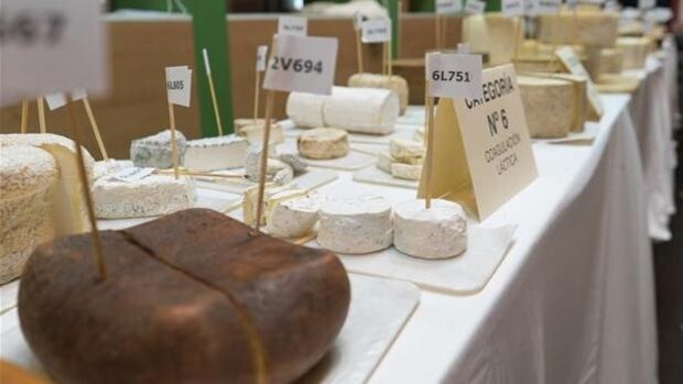 Cuatro quesos de Castilla-La Mancha, entre los mejores de España de 2021