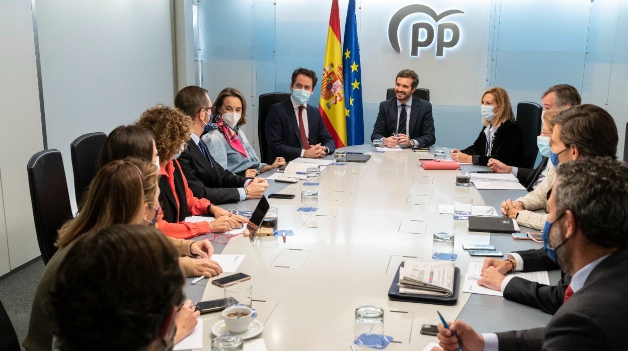 Pablo Casado ha presidido hoy el Comité de Dirección del PP, en Génova