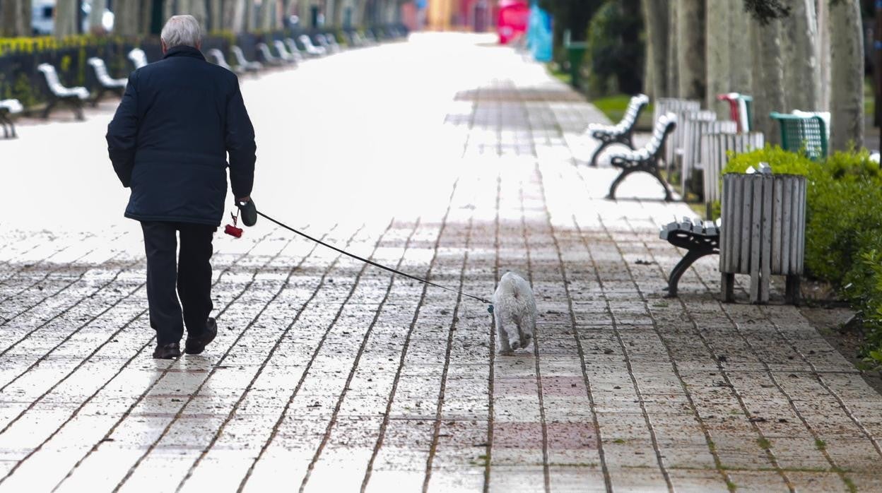 Un ciudadano con su perro en el paseo de Papalaguinda, en León