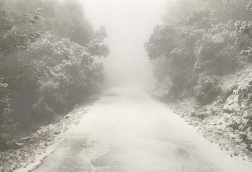 Un acceso sin visibilidad a la zona montañosa de Biar, por la nieve